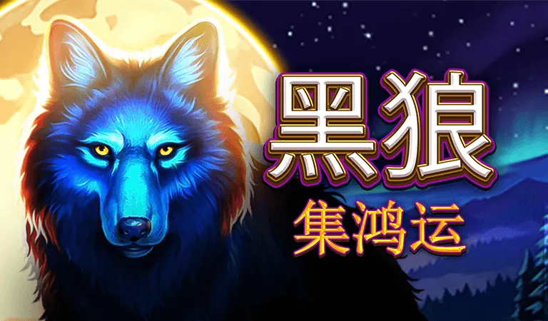 黑狼