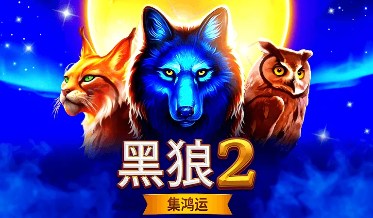 黑狼2